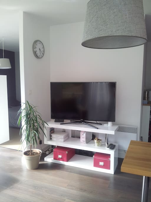 La TV avec box et internet en accès libre