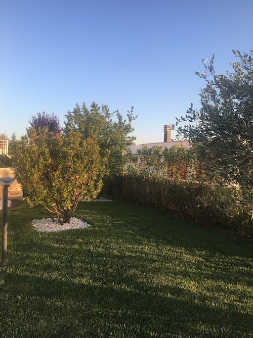 giardino