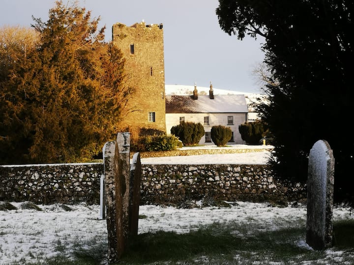 Enclosure in Clomantagh (mountgarret)