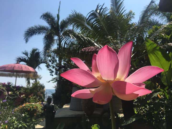 Bali Magical Healing Beach Retreat