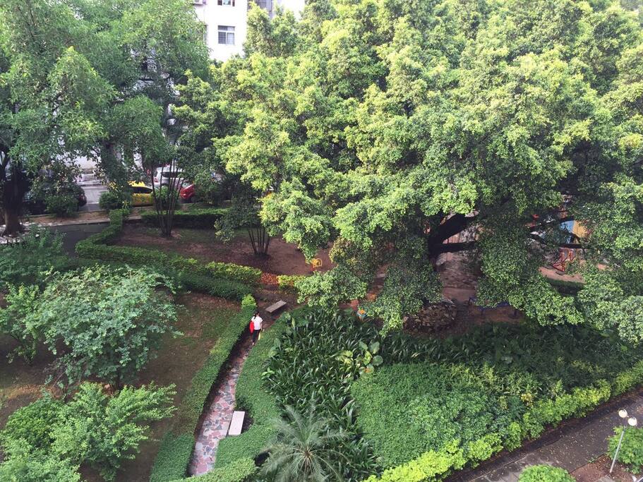 阳台朝向小区花园