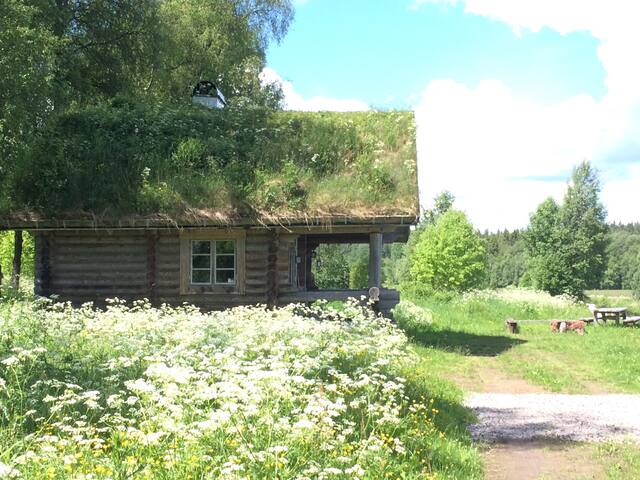 Airbnb Vastra Gotaland County Vacation Rentals Places To Stay