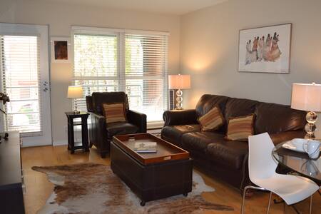 2BR Condo in downtown Telluride