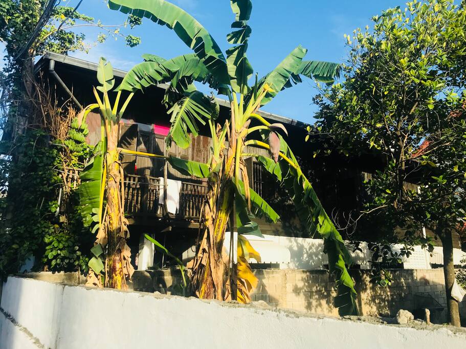 Our female only home