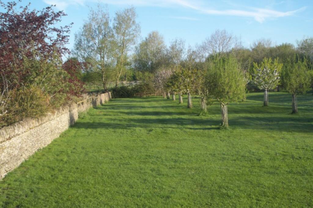 View from the rear overlooking the orchard