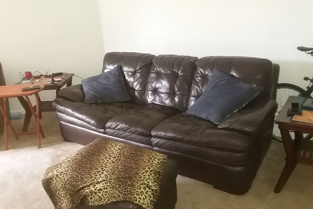 Comfortable Couch
in shared room