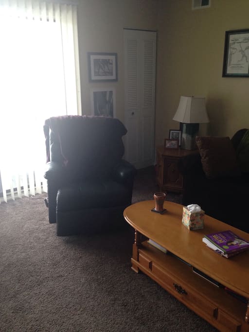 Living area with recliner chair