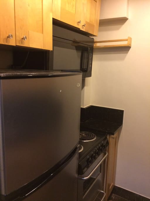 Fridge, Electric Stove Countertop, Oven, and Microwave.