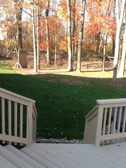 Great Deck and Backyard