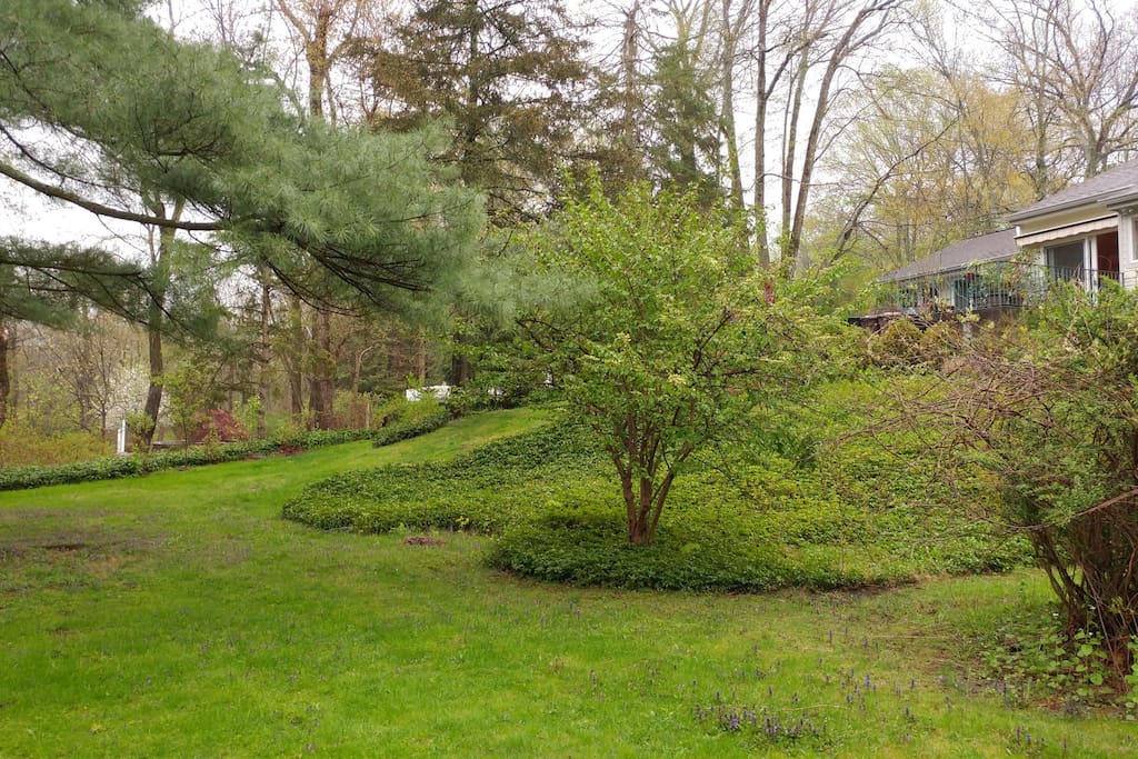 Backyard for games and walks