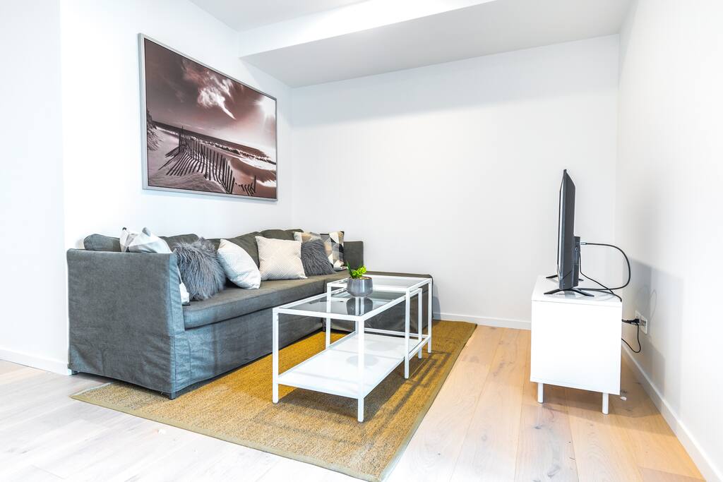 Comfy Sofa and TV