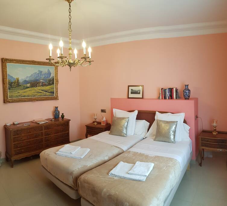The room arranged with two single beds