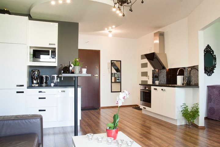 Central, Elegant, Jewish Area Apartment 260