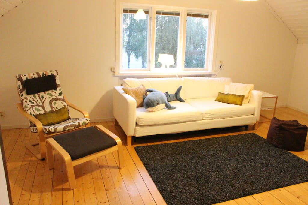 Living room with sofa
