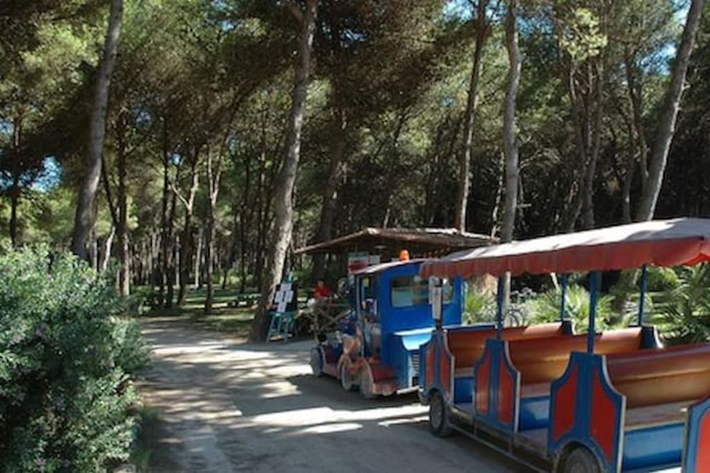Il trenino che dalle abitazioni, attraversando la pineta, porta i villeggianti in spiaggia.