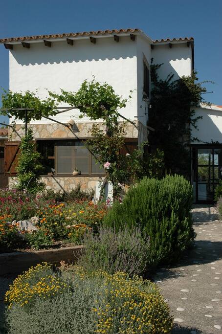 Entrada / Entrance