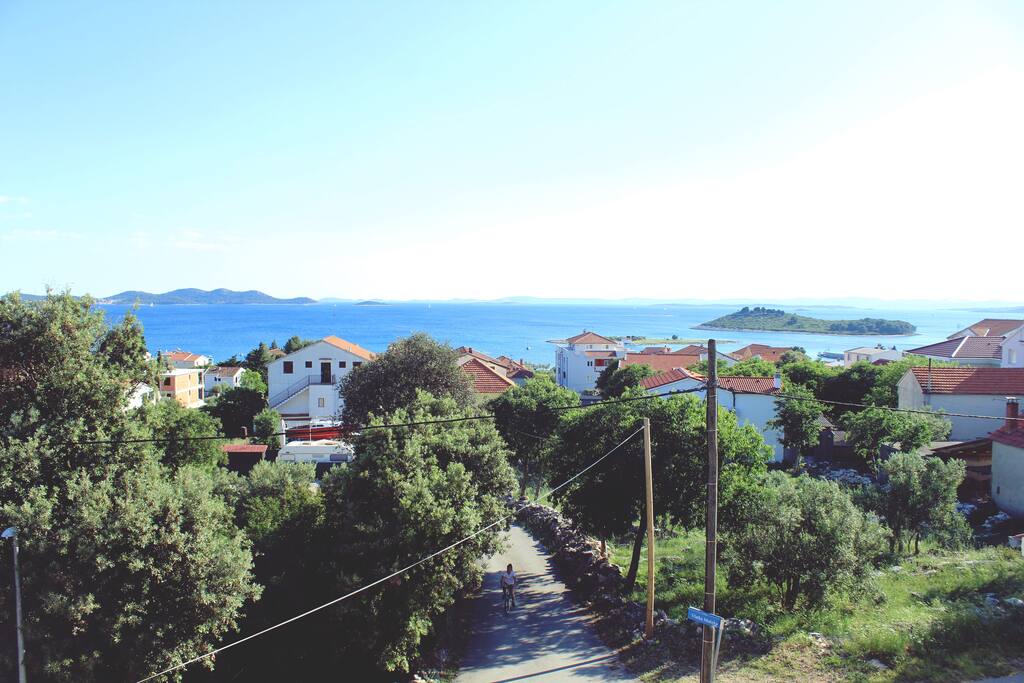The View from the terrace