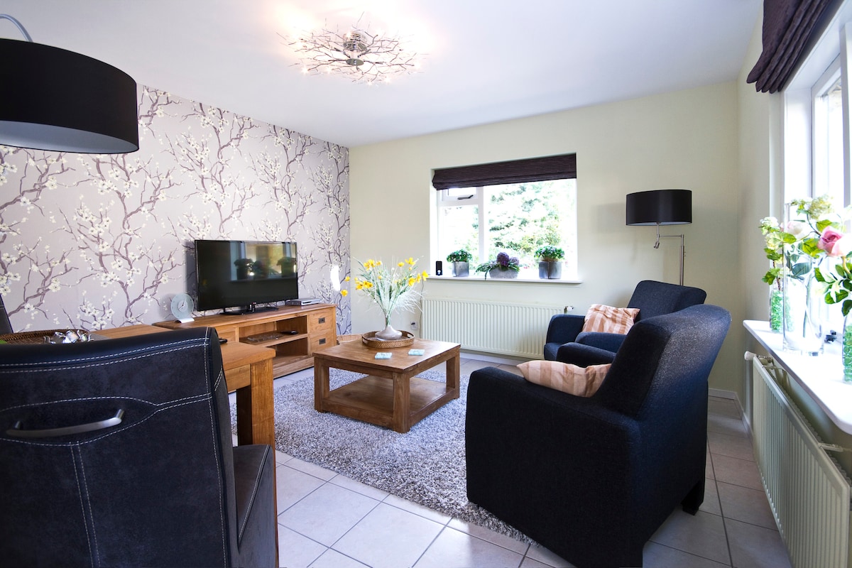 A bright living area features a dark blue armchair and a matching sofa facing a wooden coffee table. A television is positioned on a wooden unit against a floral-accented wall. Potted plants decorate the window sill, and natural light fills the space.