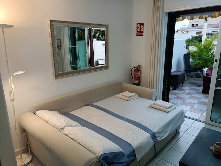 客厅的大型拉出式沙发 