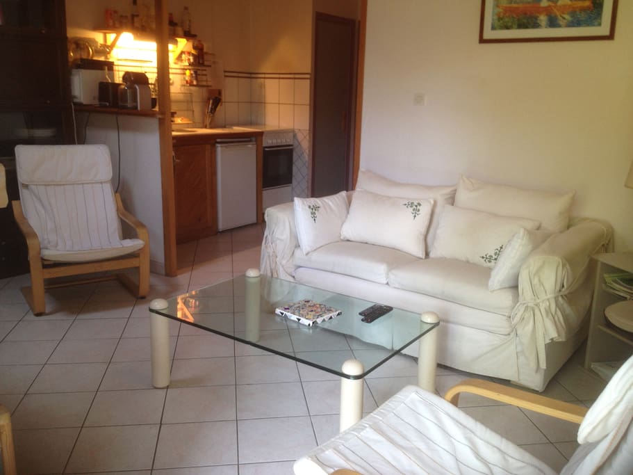 Salon donnant sur le Jardin