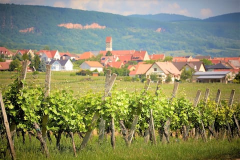 Independent accommodation in the heart of the vineyard