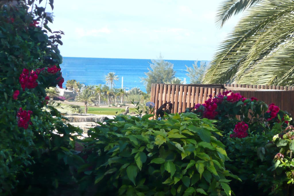 vue sur la mer