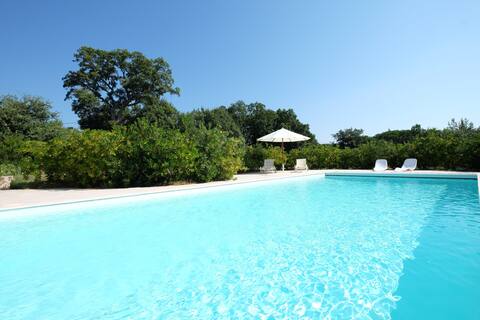 Stunning villa with private park and pool