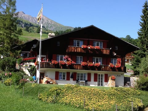 Chalet Mislin, 1-room apartment