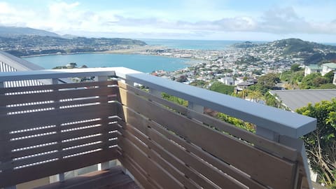 On top of Mt Victoria, Wellington Brand New Studio