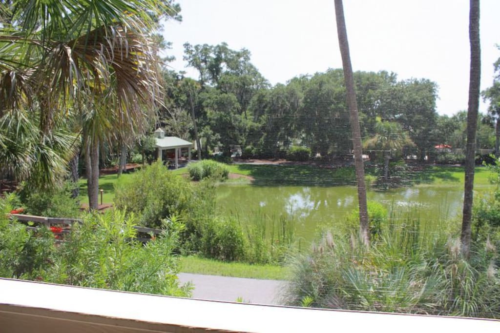 Bike ride to the Lake House where you can swim in the outdoor pool or workout.