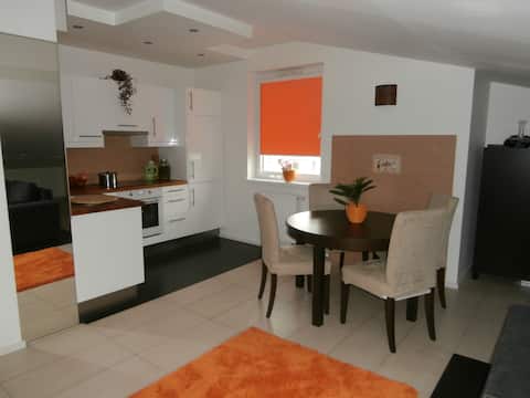 Gdynia Pet-friendly studio Promotion!