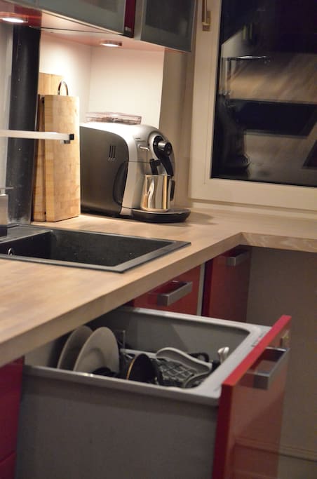 The dishwasher