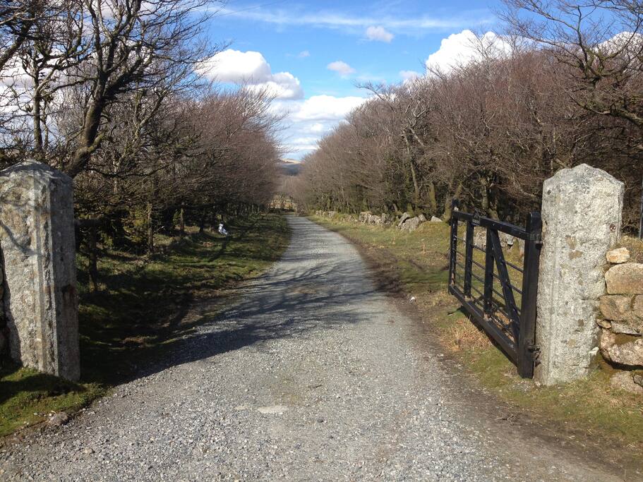 Driveway