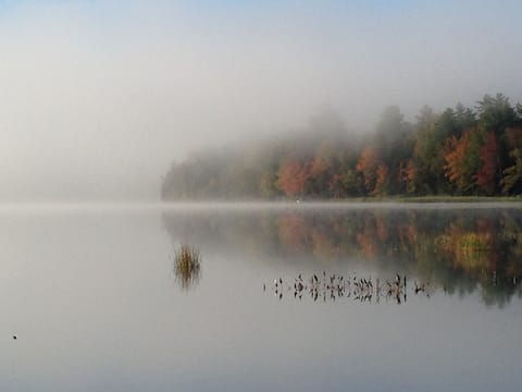 Lucky's Loon Lodge (cabin/camp)