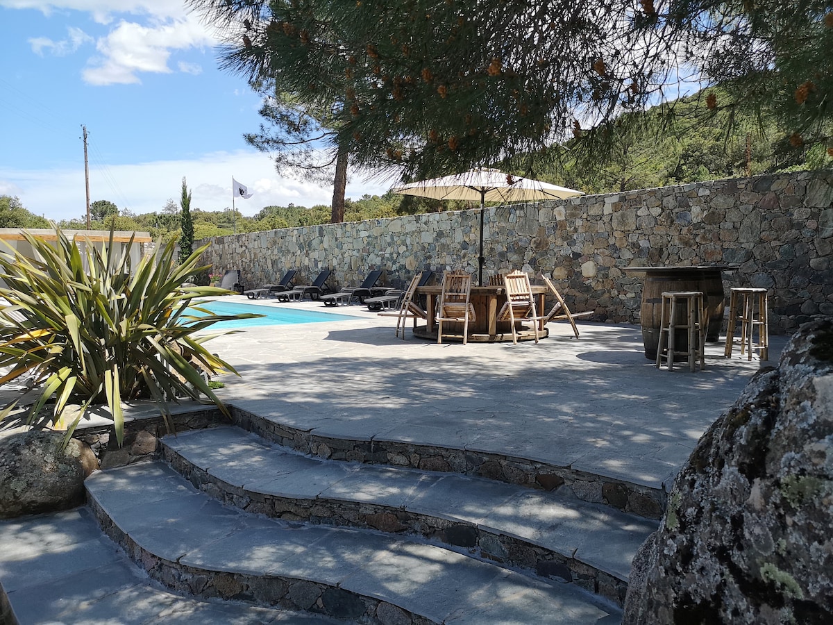 An outdoor area features a spacious stone terrace surrounding a blue swimming pool. Several lounge chairs and umbrellas are positioned around the pool. A collection of wooden furniture, including a table and chairs, is set beneath a large tree, providing shaded seating.