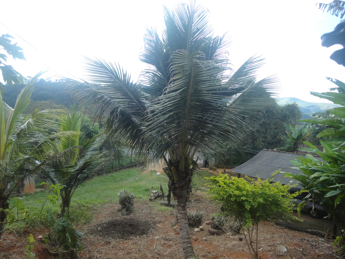A lush landscape is depicted with tall palm trees swaying gently in the breeze. Shrubs and small plants dot the natural terrain, complemented by a grassy area in the background. A simple thatched roof structure can be seen nestled among the greenery.