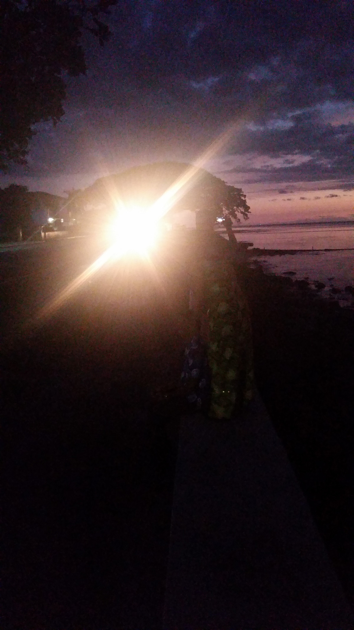 The image features a twilight scene by a water's edge, with distant lights reflecting on the water. A path runs along the shoreline, lined by trees, while an illuminated structure is visible in the background, creating a serene and tranquil atmosphere.