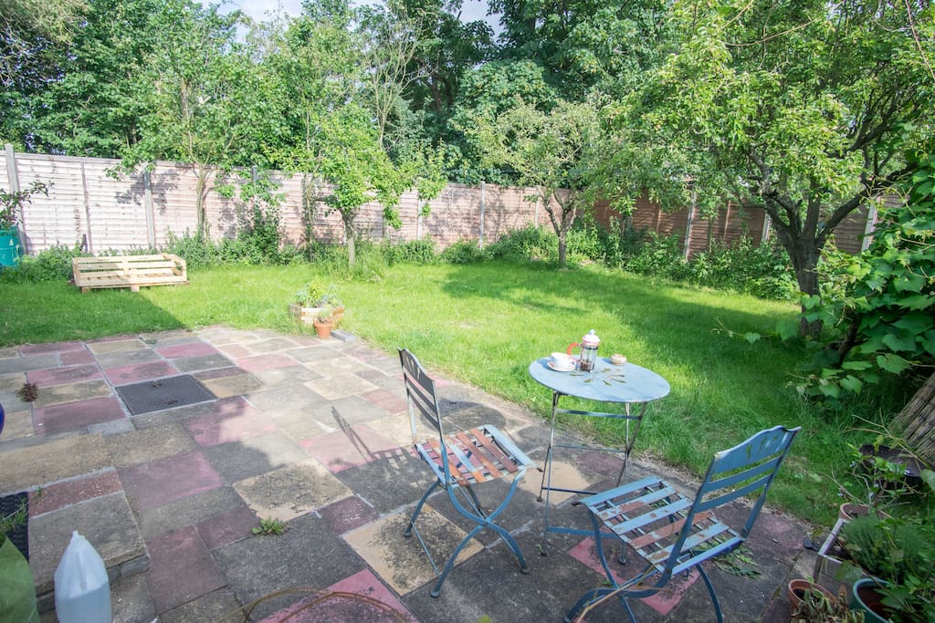 The patio and garden