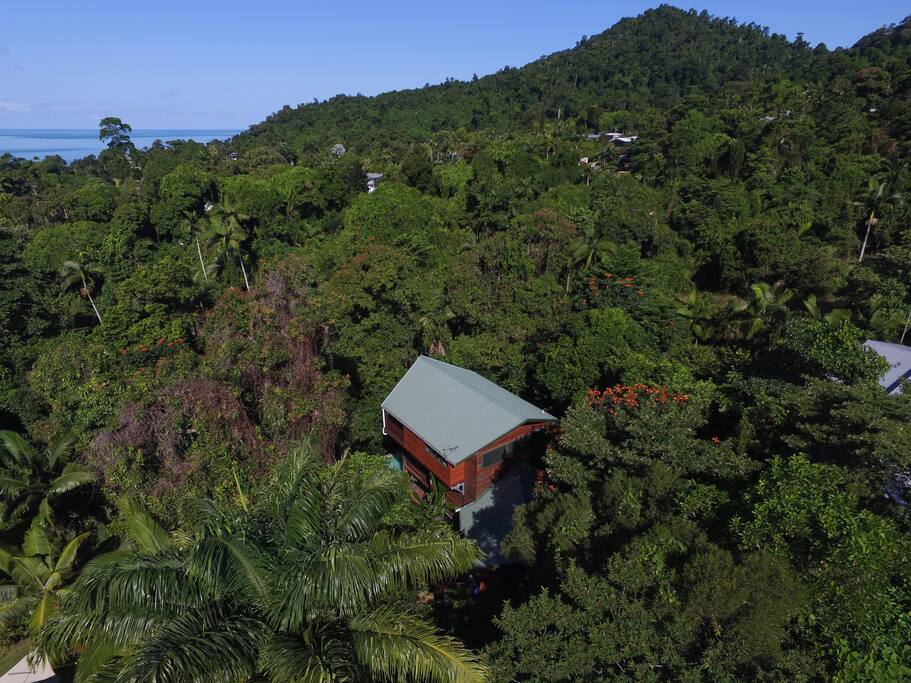 The pool and home are hidden within tropical gardens and lush jungle