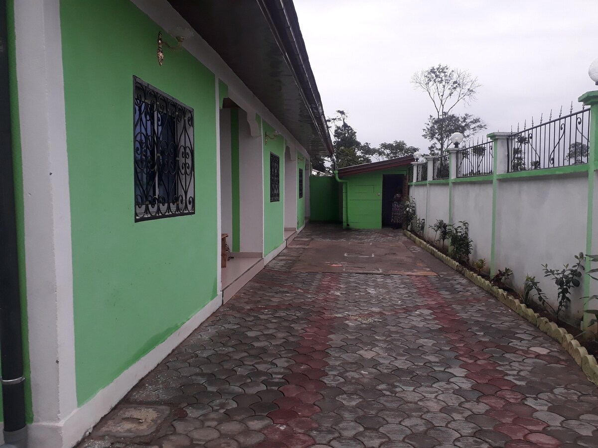 A wide view of the property's exterior is presented, featuring a paved pathway bordered by low green shrubs. The building's vibrant green walls are complemented by iron-framed windows. A small structure is visible in the background, adding depth to the outdoor space.