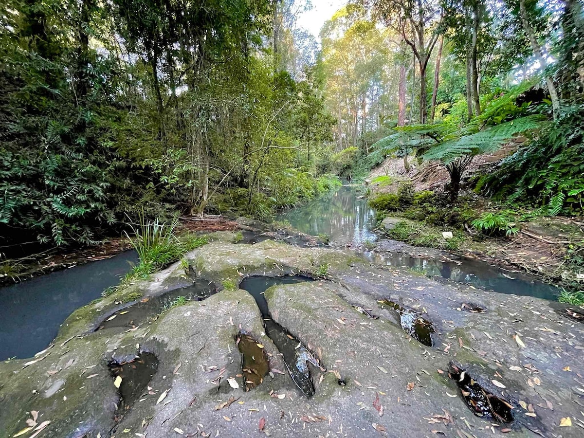 A serene creek flows gently through a lush rainforest setting. Large, moss-covered rocks emerge from the water, surrounded by dense greenery. Towering trees and ferns provide a natural backdrop, creating a sense of tranquility and connection with nature.