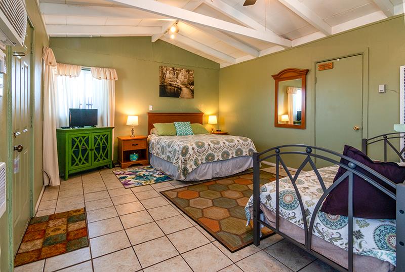An open-plan room features a spacious bed with a patterned quilt, alongside a smaller bed. Natural light enters through a window with light curtains, and a flat-screen TV is positioned on a dresser. A vibrant area rug adds color to the tiled floor.
