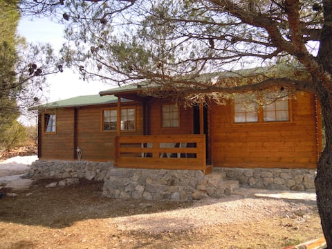 Wooden house for holiday Vidrovaca
