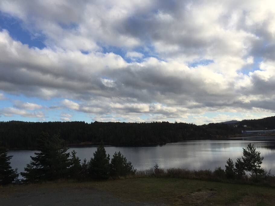 View from back deck