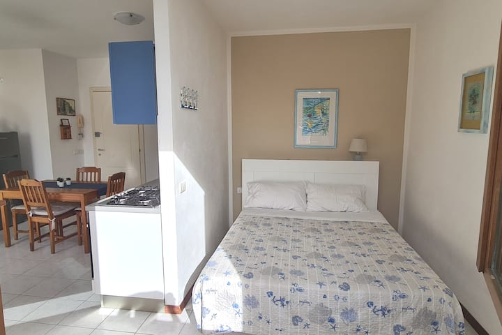 Habitación 1