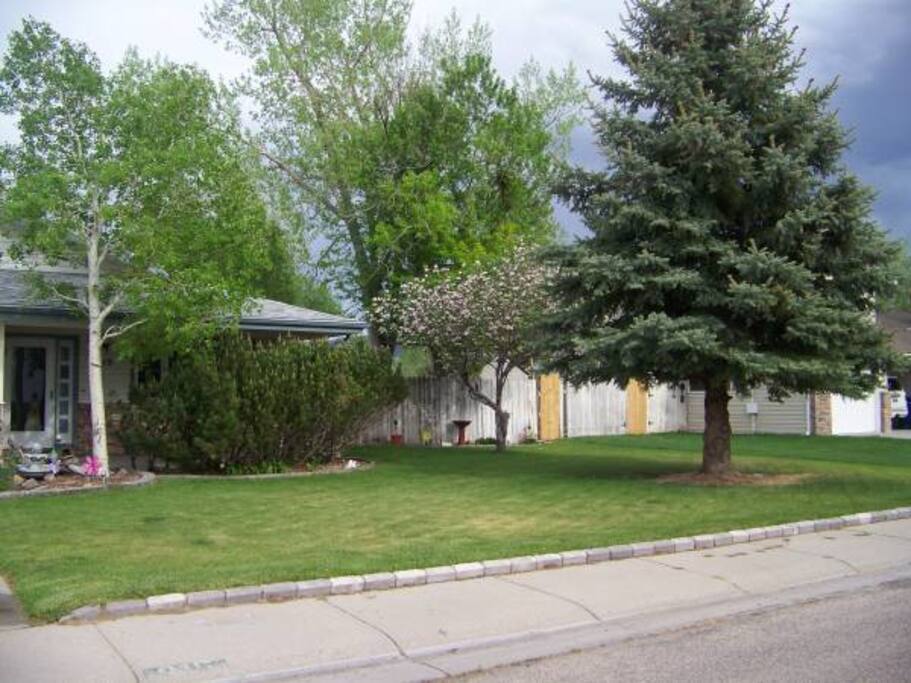 Front Yard