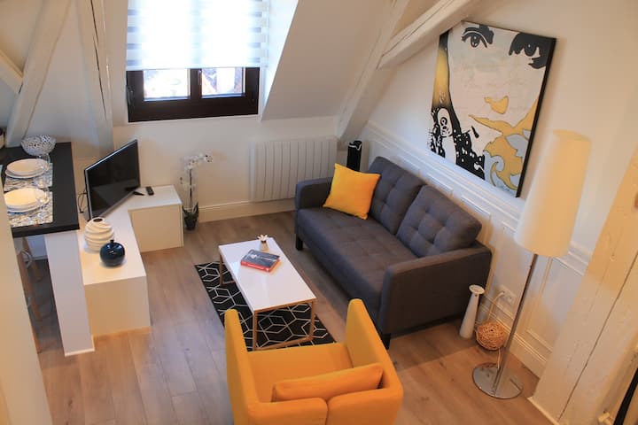 wHite Duplex Suite Colmar - Historic Center