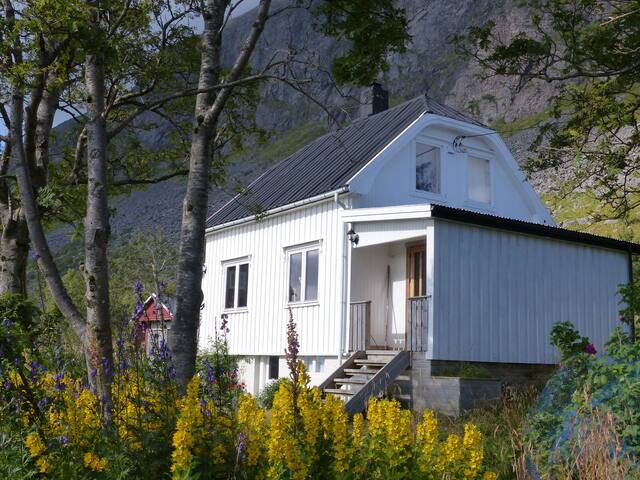 Charming small farm in Lofoten