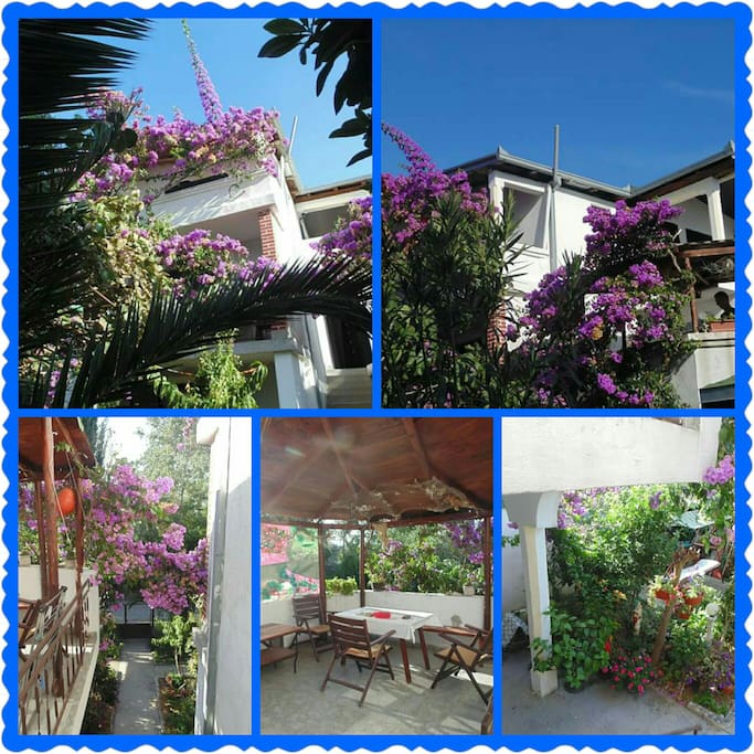 Villa DUDA, dvoriste, terasa-
Villa DUDA, garden, terrace