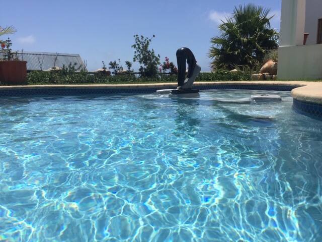 Phoenix Rising – Above Boulders Beach – Simonstown gallery image 3